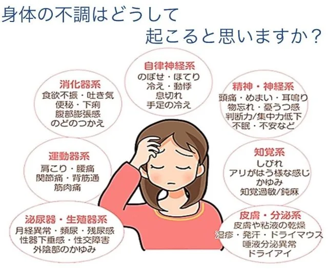 身体の不調はどうして起こると思いますか？自律神経系・精神神経系・消化器系・運動器系・知覚系・泌尿器生殖器系・皮膚分泌系の不調の例