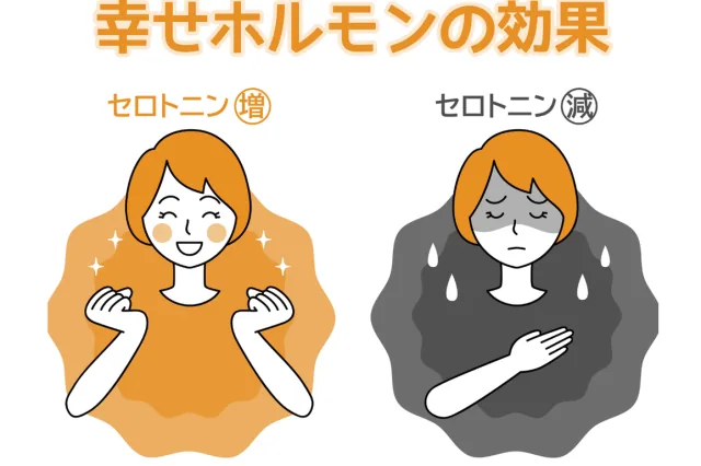 幸せホルモン セロトニンが増えたとき・減ったときのイラスト